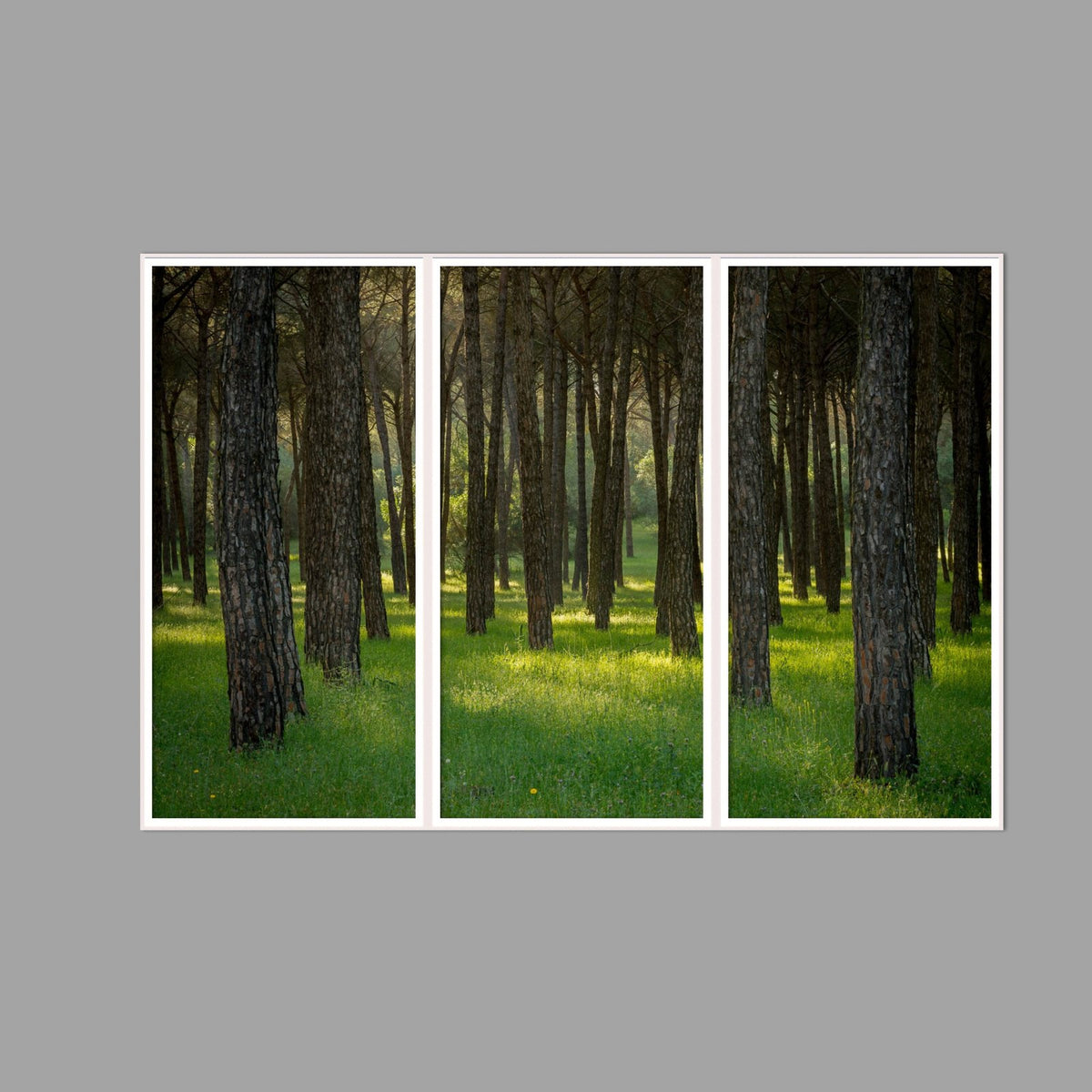 LED-Wandbild Dreiteiler hochkant 180x120 cm – Wald