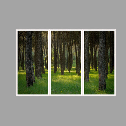 LED-Wandbild Dreiteiler hochkant 180x120 cm – Wald