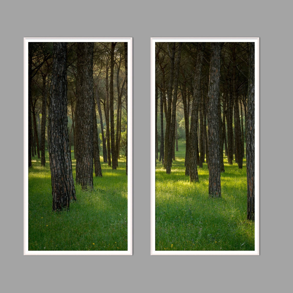 LED-Wandbild Zweiteiler hochkant mit Abstand – Wald