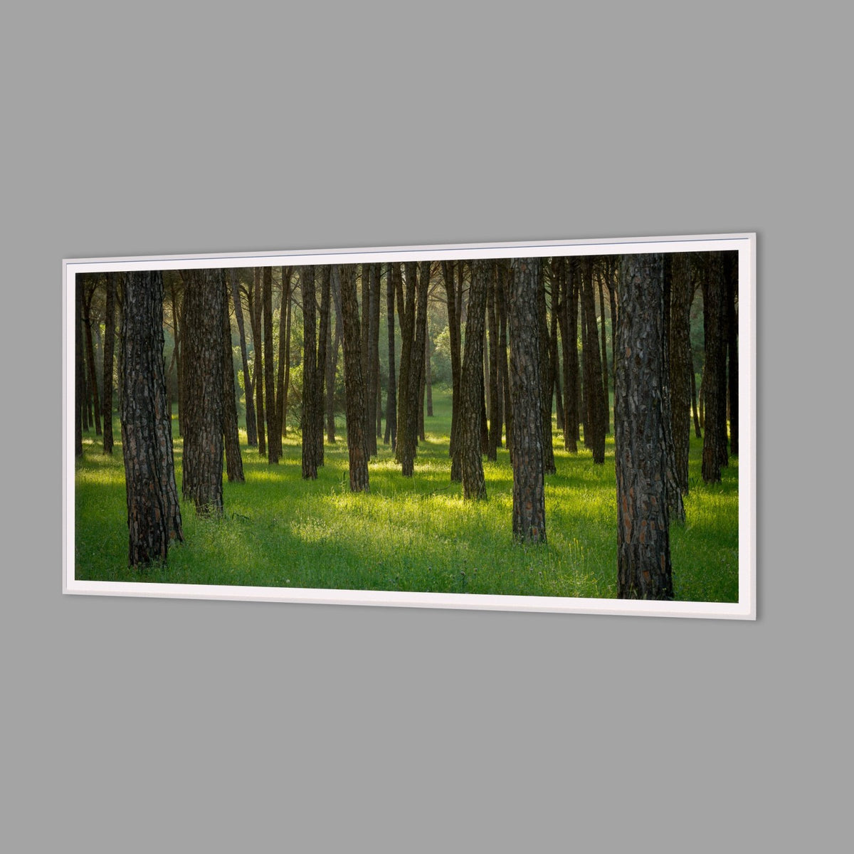 LED-Wandbild 60x120 cm quer – Wald