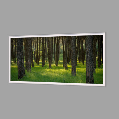 LED-Wandbild 60x120 cm quer – Wald