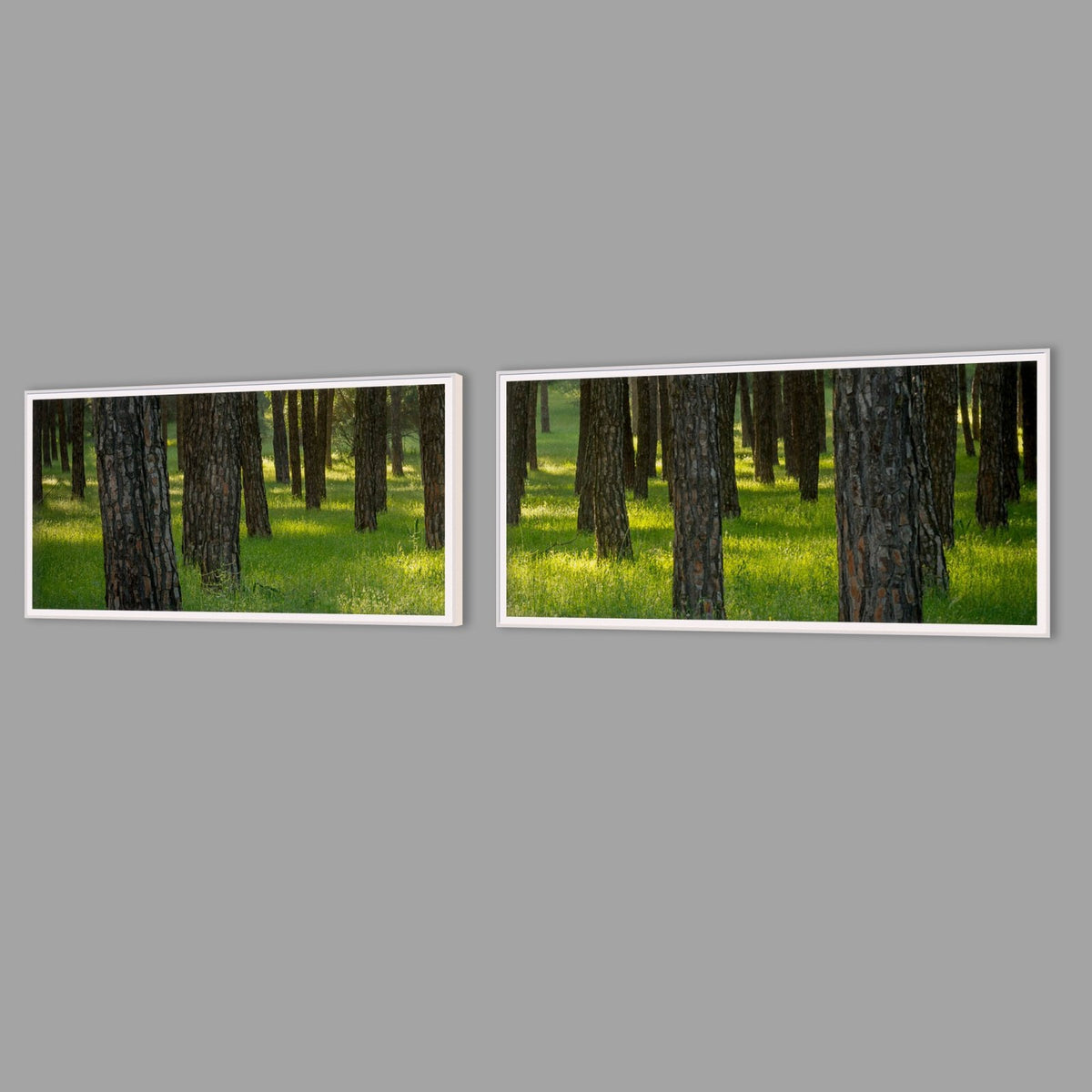 LED-Wandbild Zweiteiler quer mit Abstand – Wald