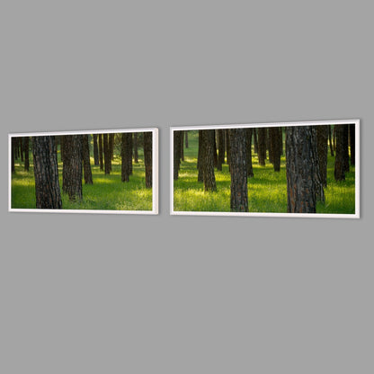 LED-Wandbild Zweiteiler quer mit Abstand – Wald