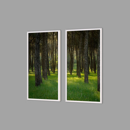 LED-Wandbild Zweiteiler hochkant mit Abstand – Wald