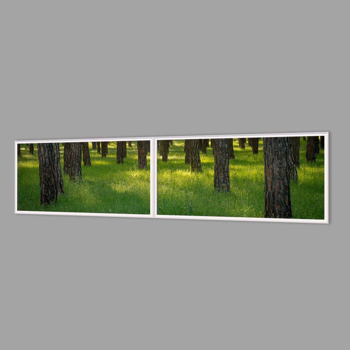 LED-Wandbild Zweiteiler quer 240x60 cm – Wald