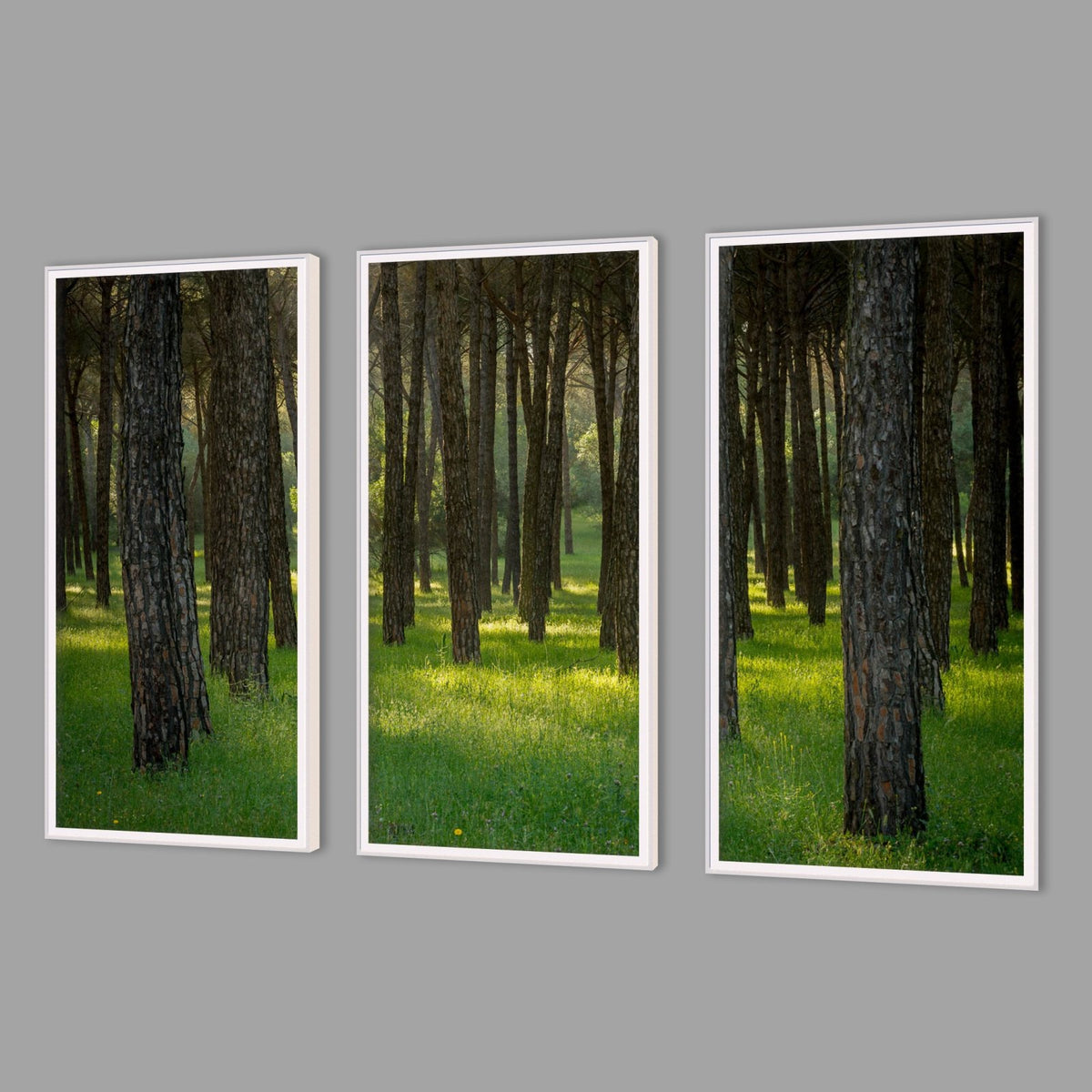 LED-Wandbild Dreiteiler hochkant mit Abstand – Wald