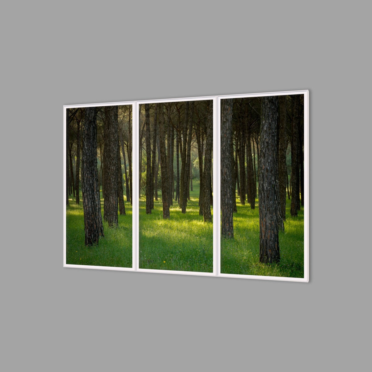 LED-Wandbild Dreiteiler hochkant 180x120 cm – Wald