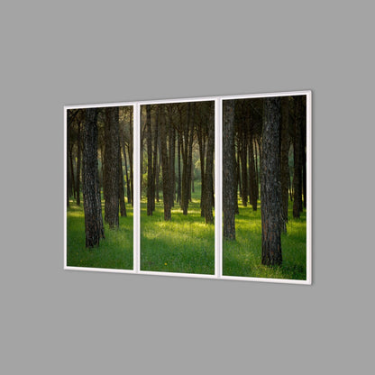 LED-Wandbild Dreiteiler hochkant 180x120 cm – Wald