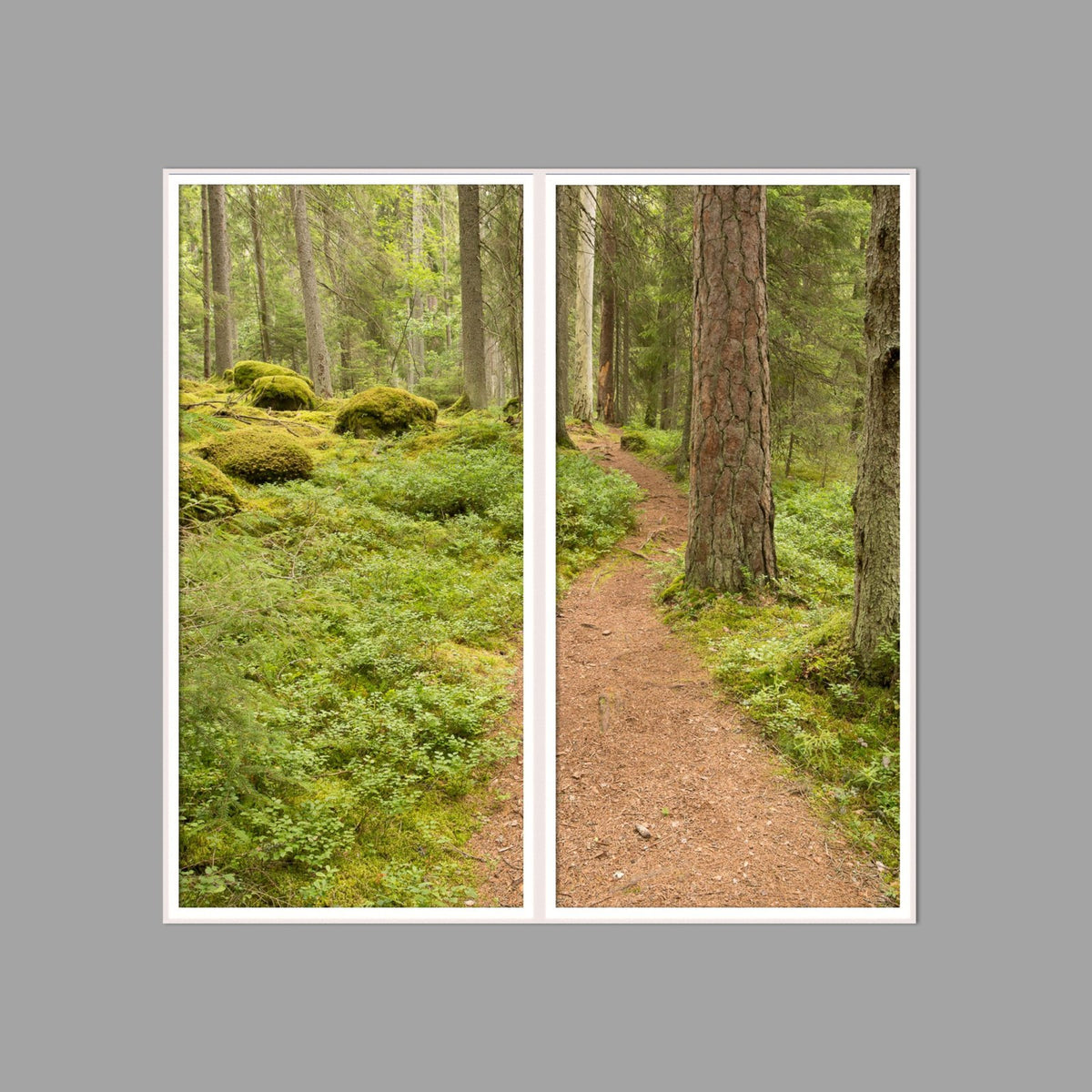 LED-Wandbild Zweiteiler hochkant 120x120 cm – Wald
