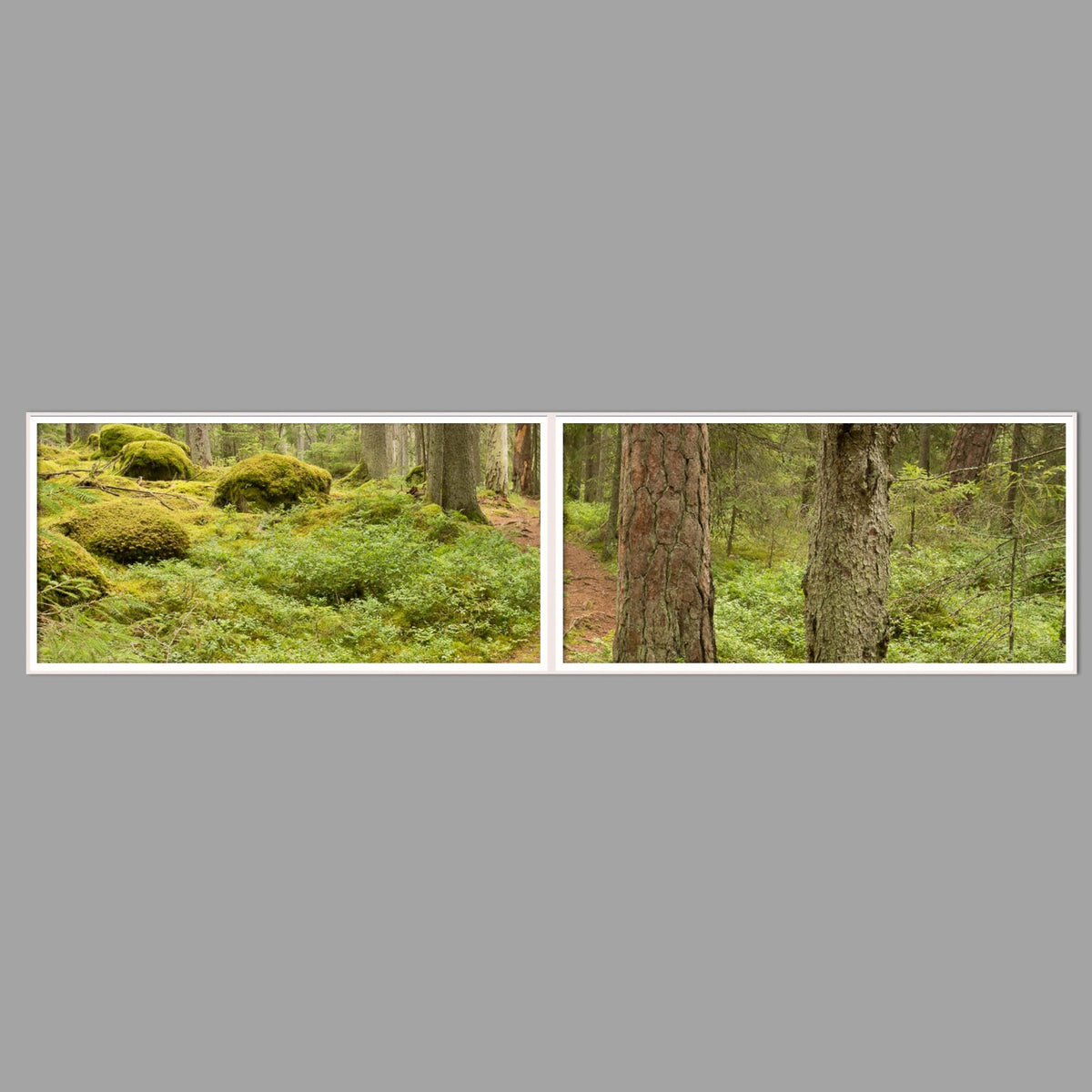 LED-Wandbild Zweiteiler quer 240x60 cm – Wald