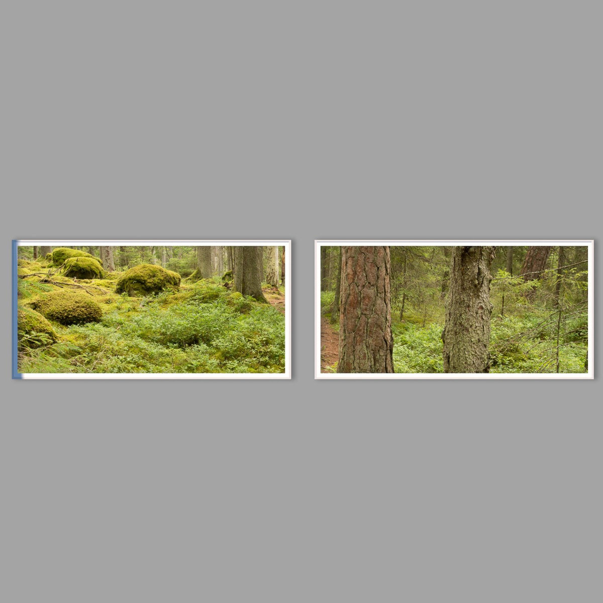 LED-Wandbild Zweiteiler quer mit Abstand – Wald