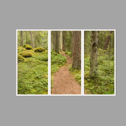 LED-Wandbild Dreiteiler hochkant 180x120 cm – Wald