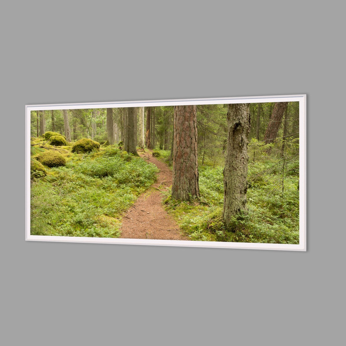 LED-Wandbild 60x120 cm quer – Wald