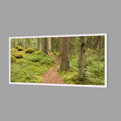 LED-Wandbild 60x120 cm quer – Wald