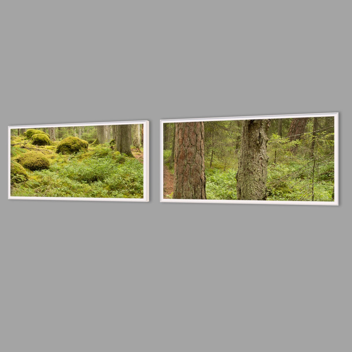 LED-Wandbild Zweiteiler quer mit Abstand – Wald