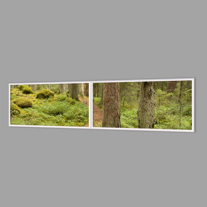 LED-Wandbild Zweiteiler quer 240x60 cm – Wald