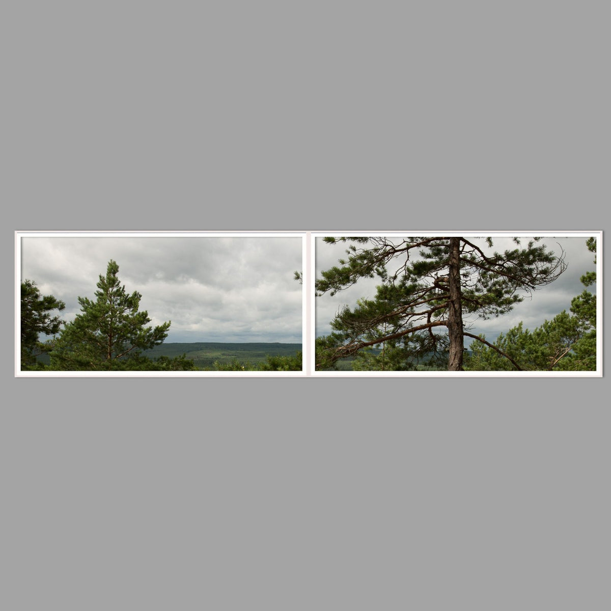 LED-Wandbild Zweiteiler quer 240x60 cm – Wald