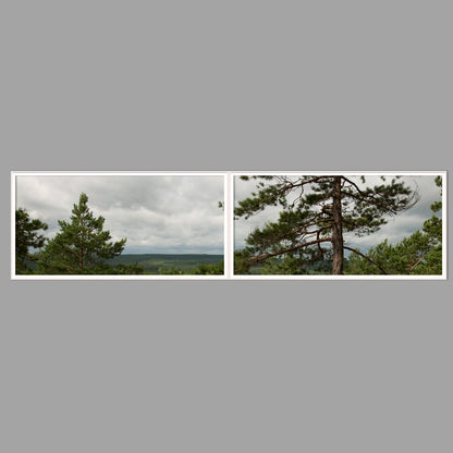 LED-Wandbild Zweiteiler quer 240x60 cm – Wald