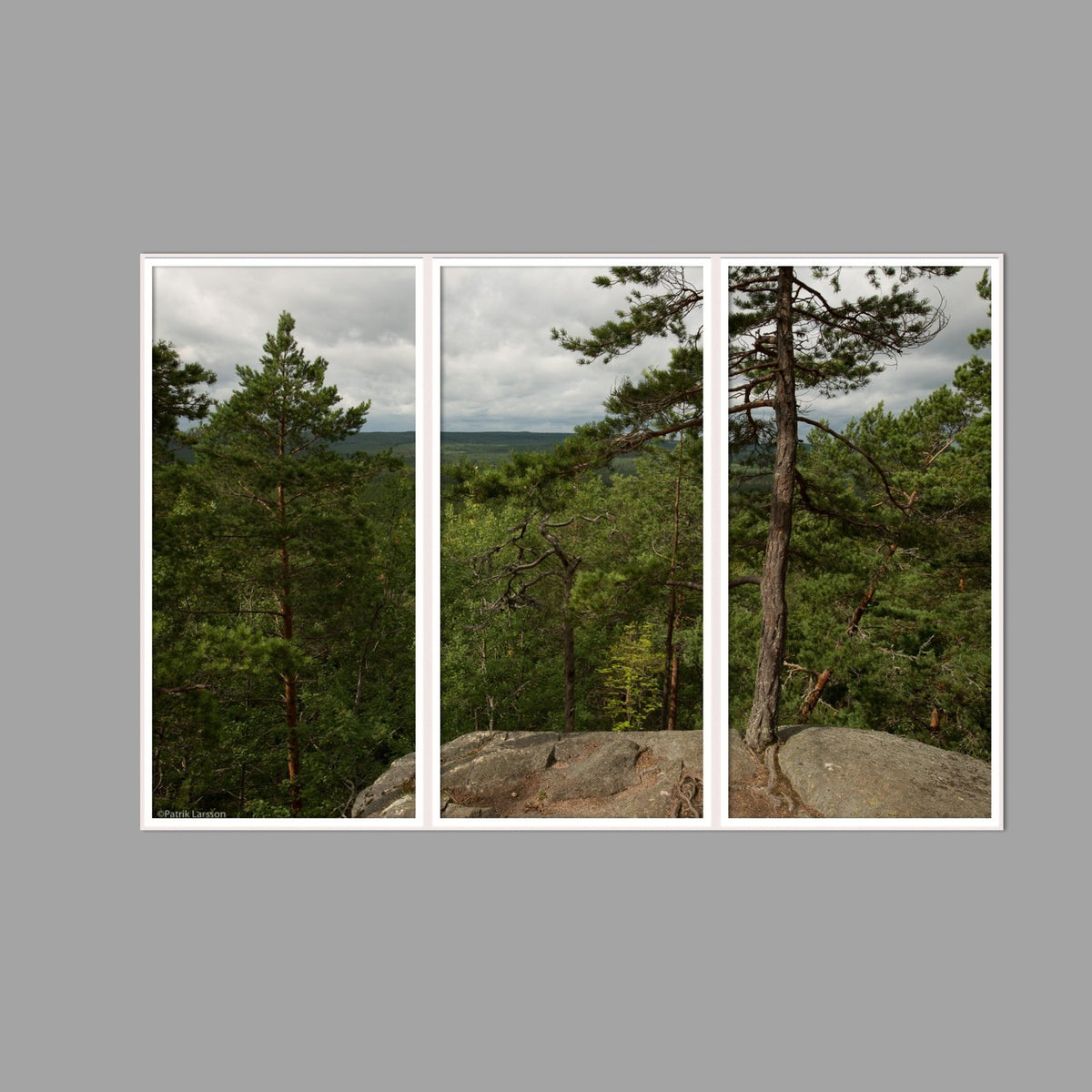 LED-Wandbild Dreiteiler hochkant 180x120 cm – Wald
