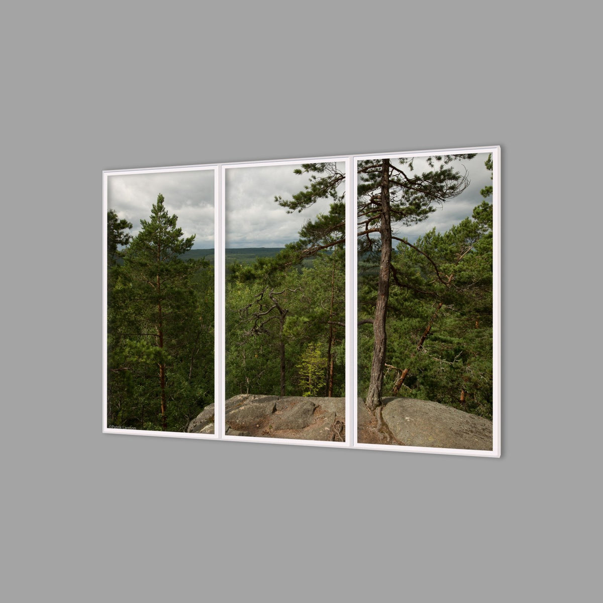 LED-Wandbild Dreiteiler hochkant 180x120 cm – Wald
