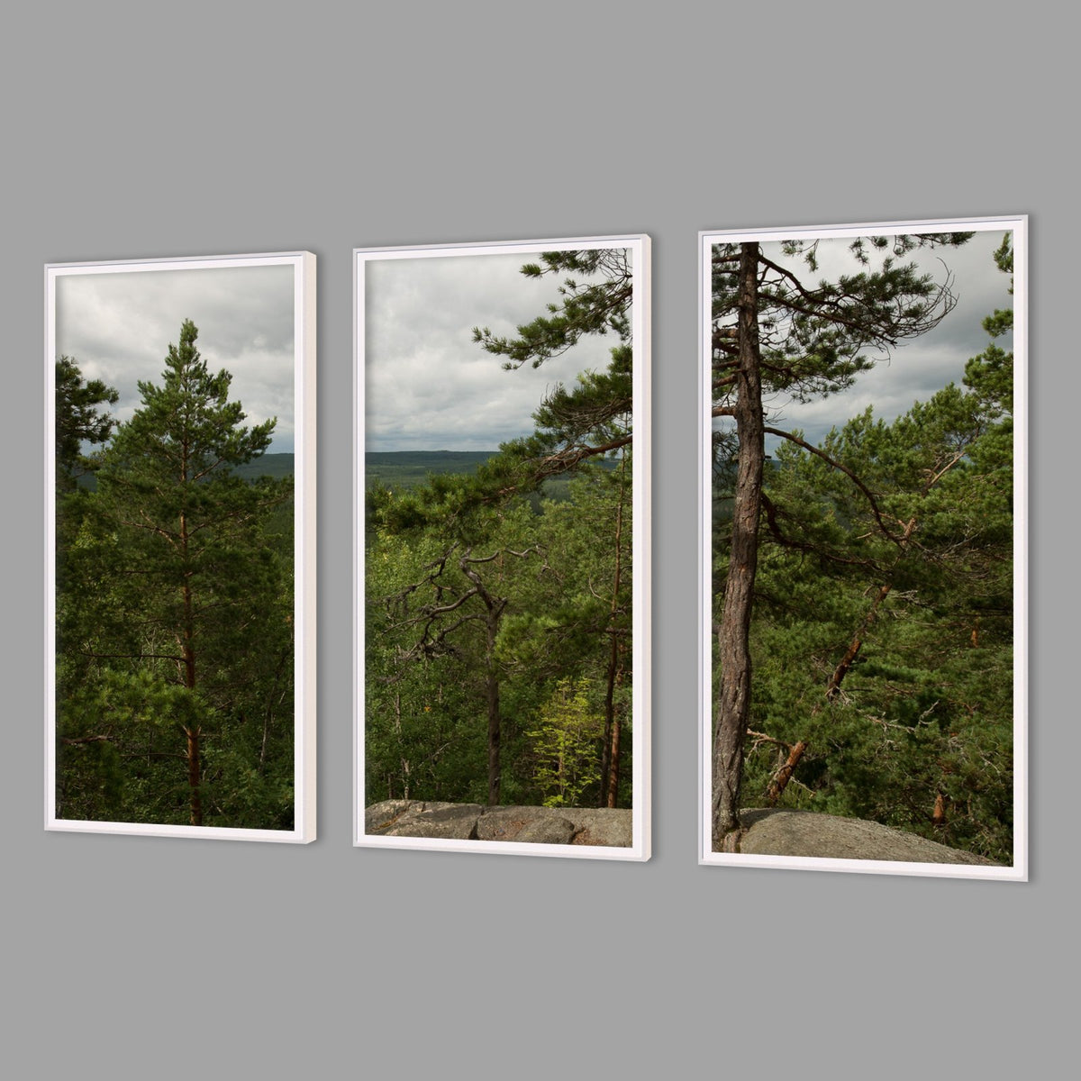 LED-Wandbild Dreiteiler hochkant mit Abstand – Wald