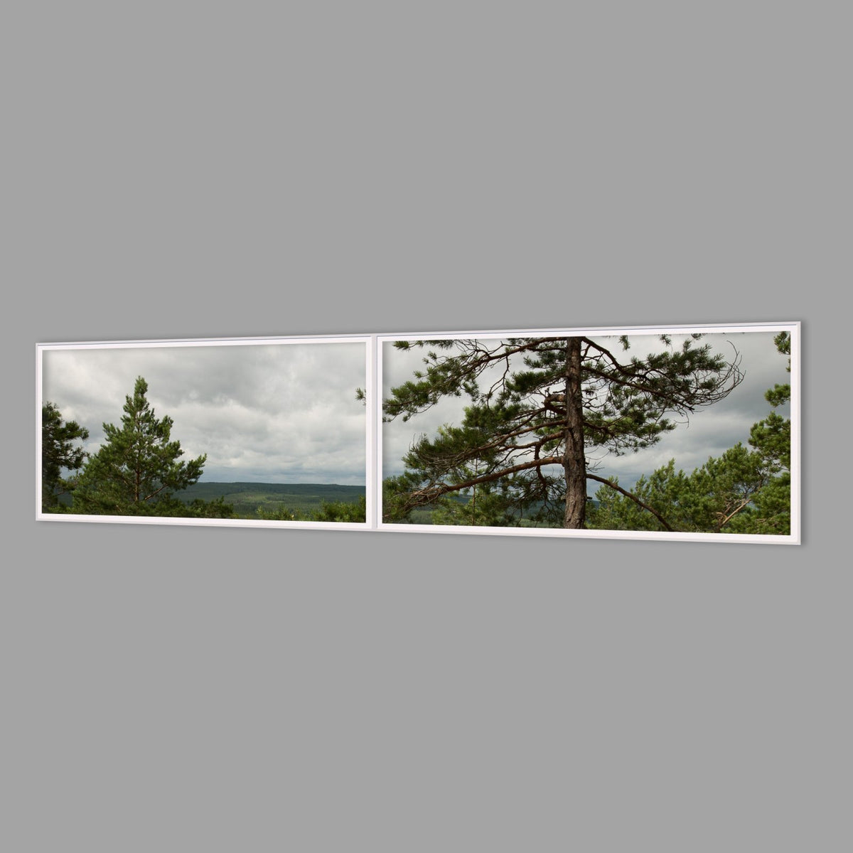 LED-Wandbild Zweiteiler quer 240x60 cm – Wald