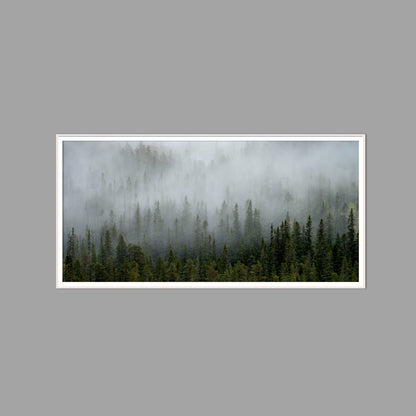 LED-Wandbild 60x120 cm quer – Wald