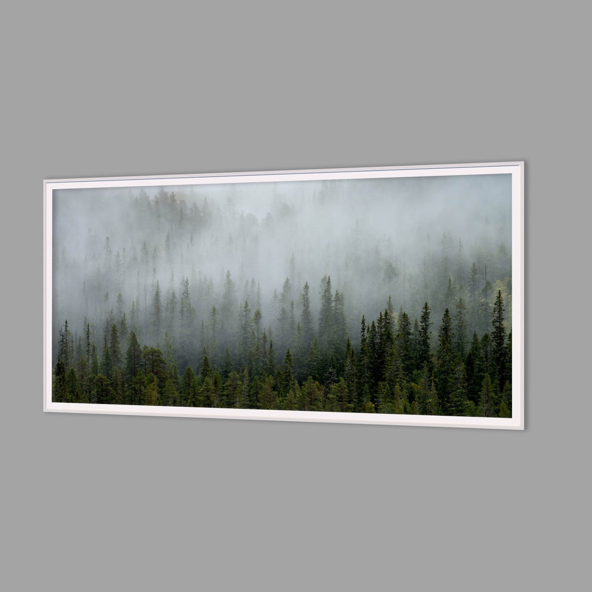 LED-Wandbild 60x120 cm quer – Wald