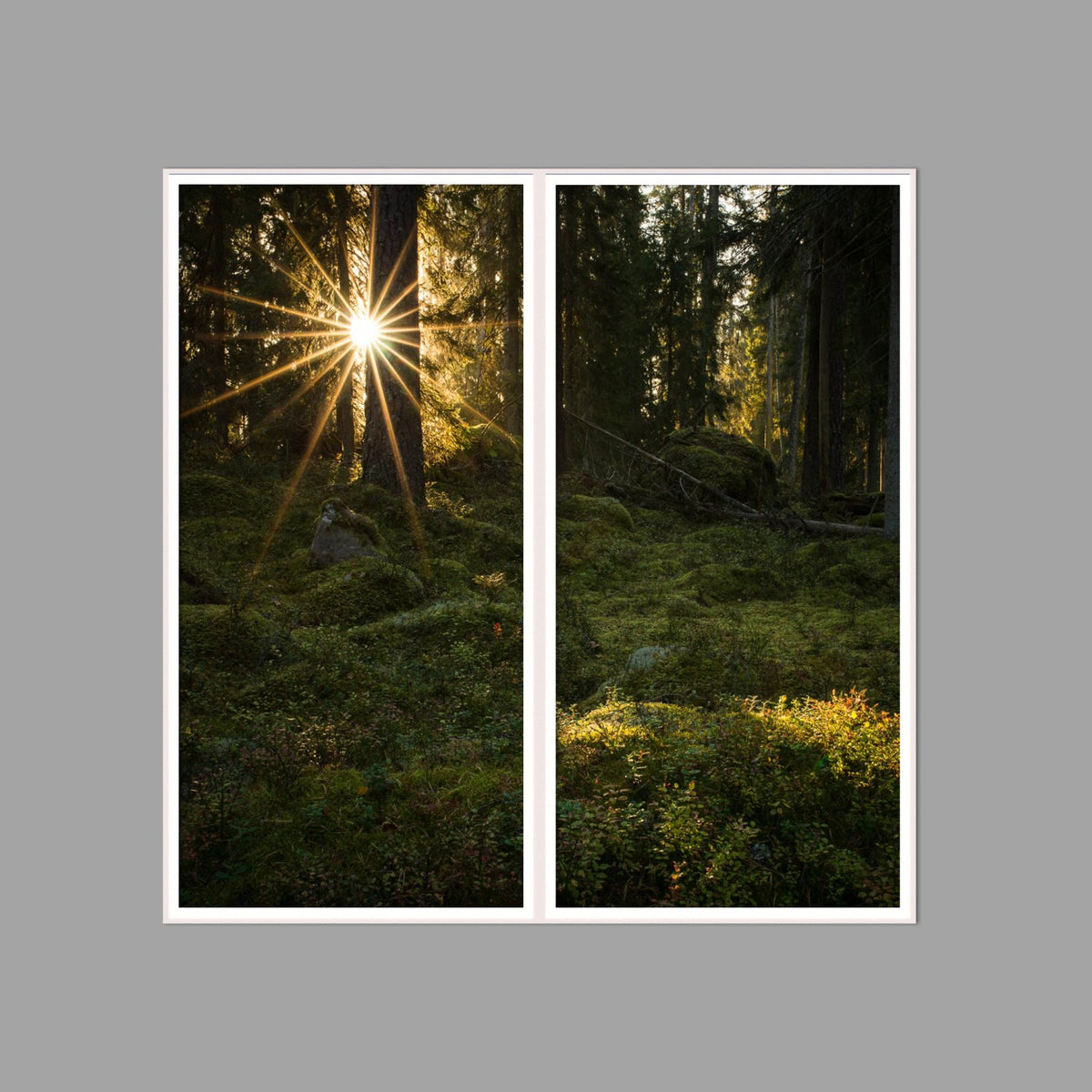 LED-Wandbild Zweiteiler hochkant 120x120 cm – Wald