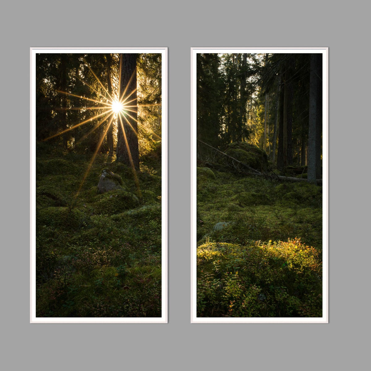 LED-Wandbild Zweiteiler hochkant mit Abstand – Wald