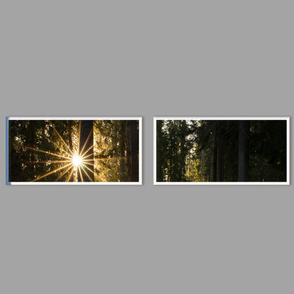 LED-Wandbild Zweiteiler quer mit Abstand – Wald