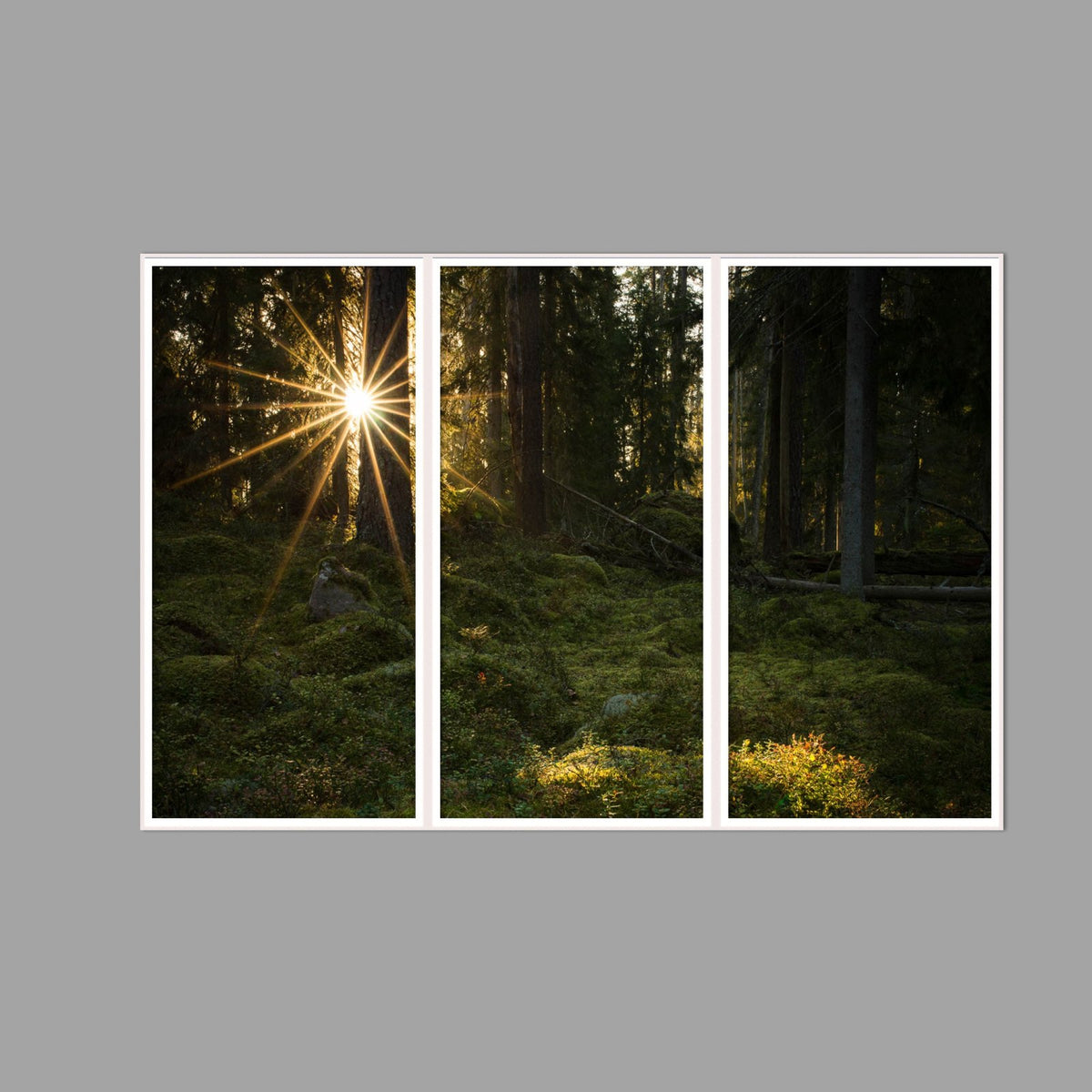 LED-Wandbild Dreiteiler hochkant 180x120 cm – Wald