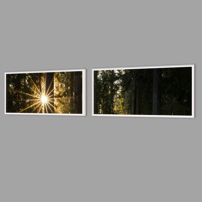 LED-Wandbild Zweiteiler quer mit Abstand – Wald