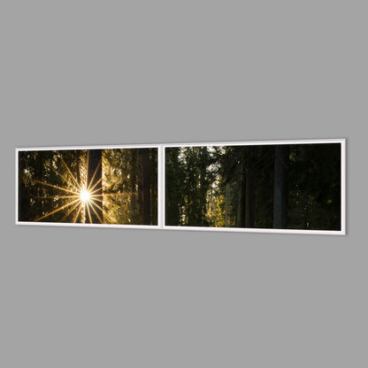 LED-Wandbild Zweiteiler quer 240x60 cm – Wald