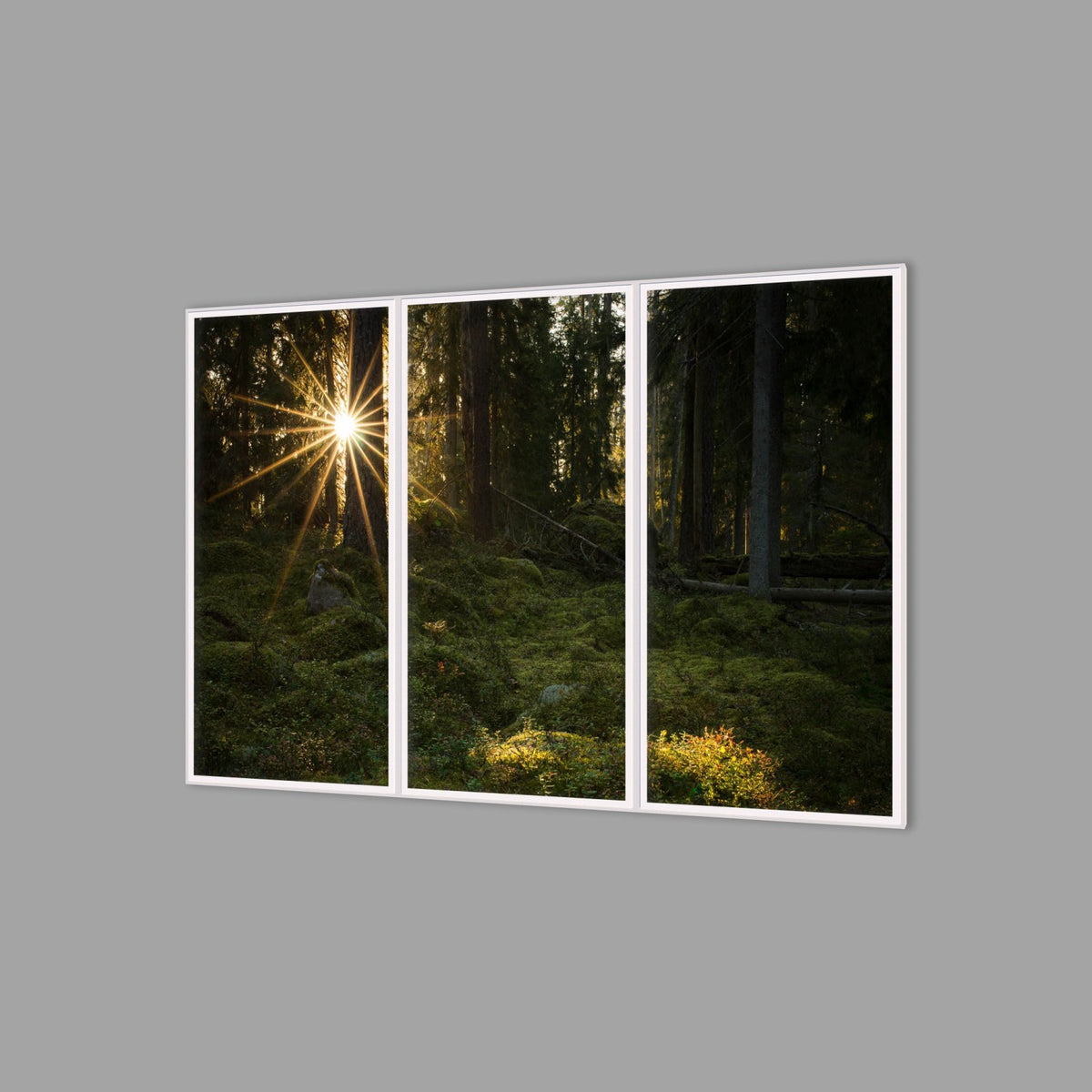 LED-Wandbild Dreiteiler hochkant 180x120 cm – Wald