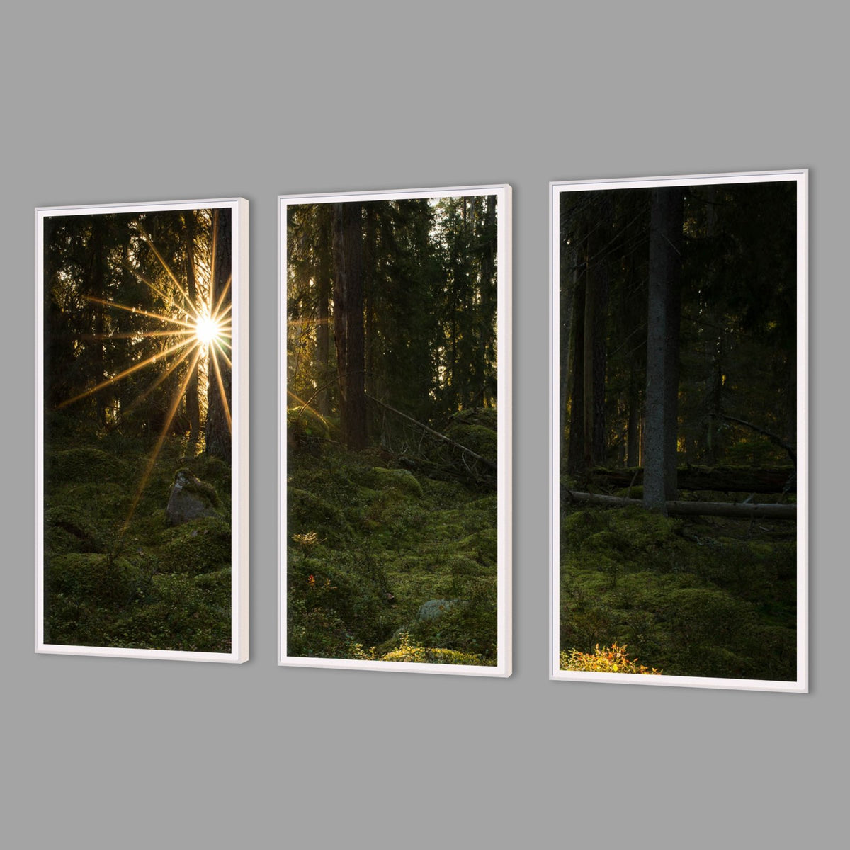 LED-Wandbild Dreiteiler hochkant mit Abstand – Wald