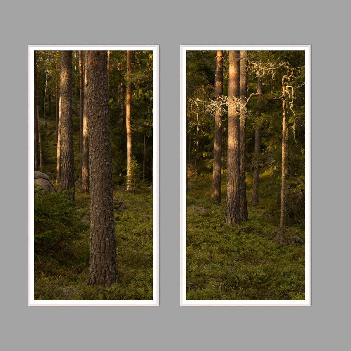 LED-Wandbild Zweiteiler hochkant mit Abstand – Wald