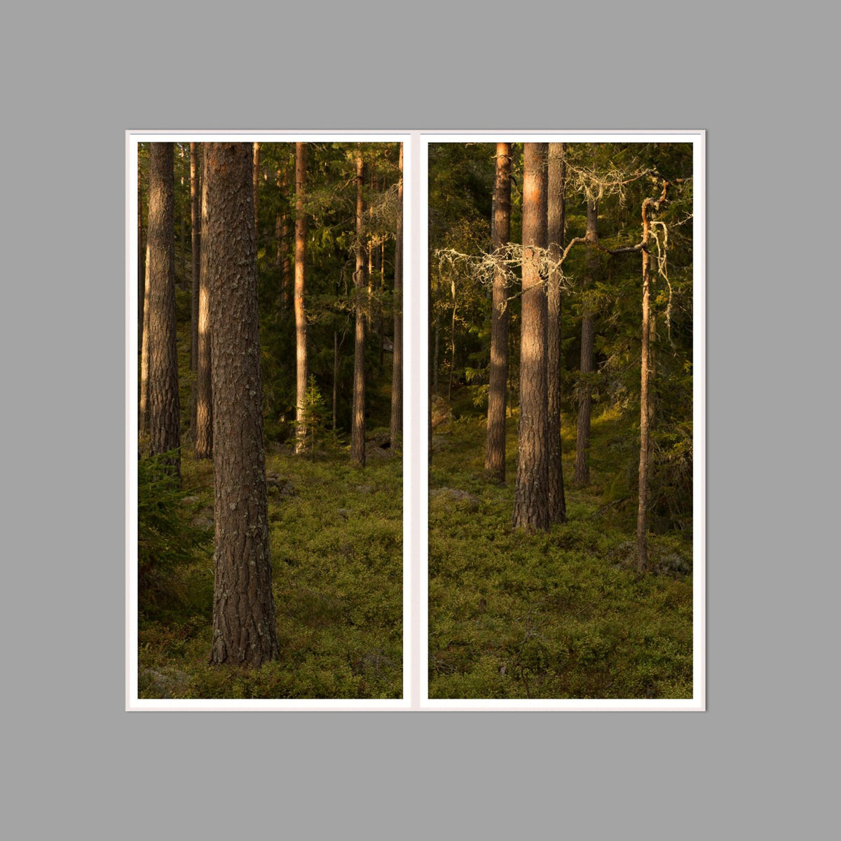 LED-Wandbild Zweiteiler hochkant 120x120 cm – Wald