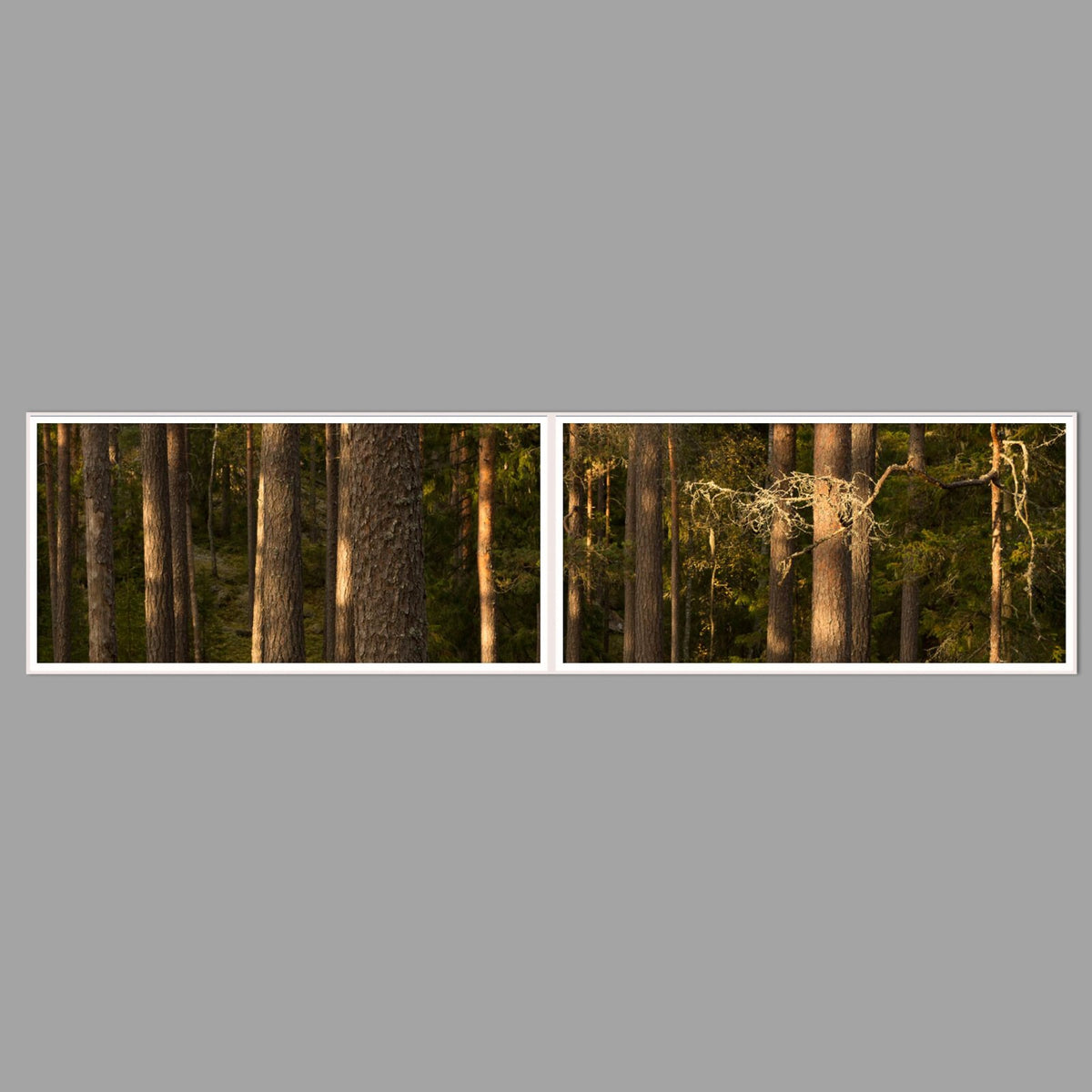 LED-Wandbild Zweiteiler quer 240x60 cm – Wald