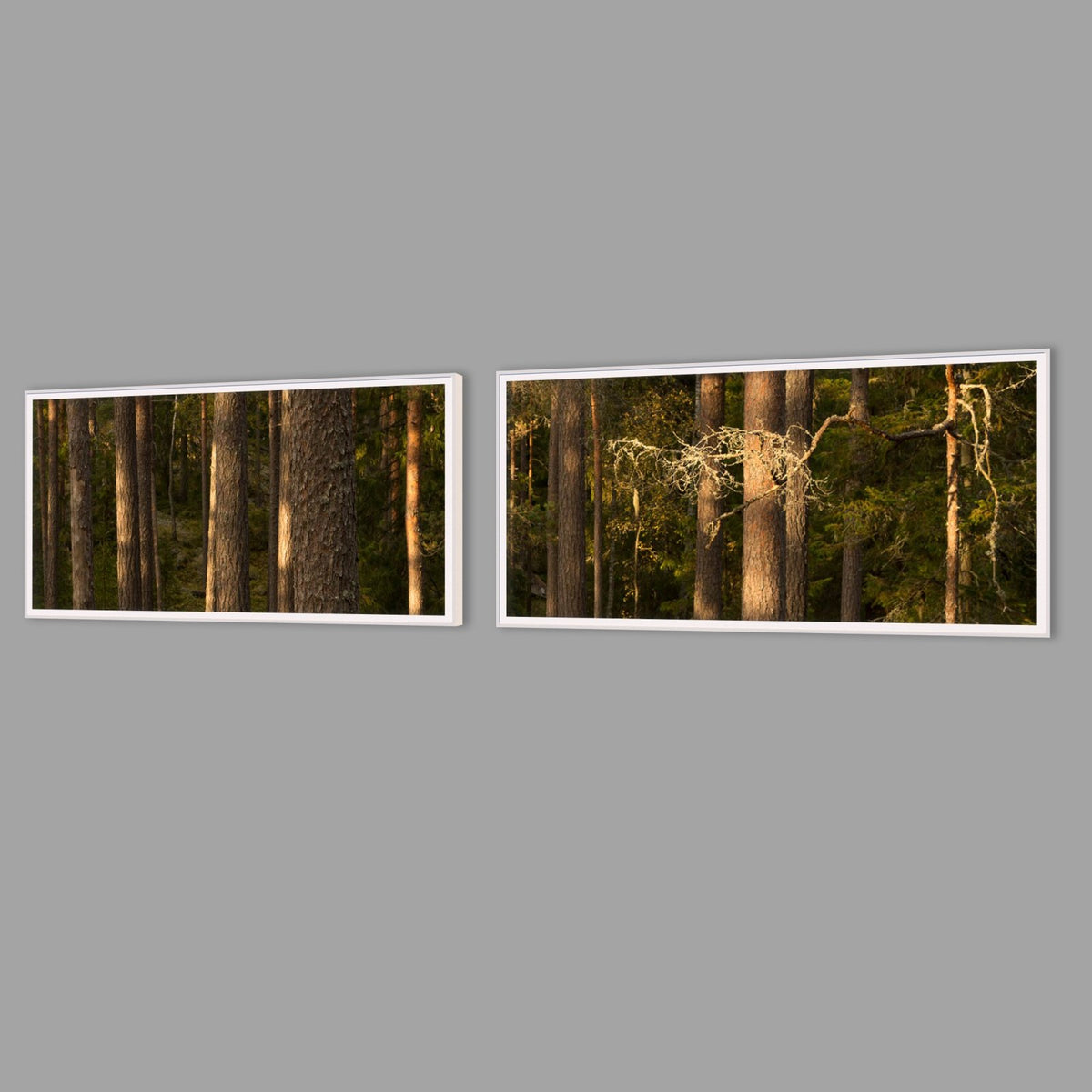 LED-Wandbild Zweiteiler quer mit Abstand – Wald