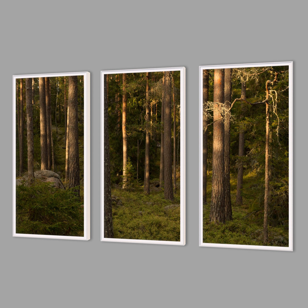 LED-Wandbild Dreiteiler hochkant mit Abstand – Wald