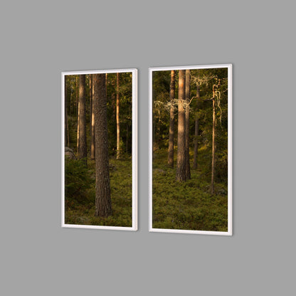 LED-Wandbild Zweiteiler hochkant mit Abstand – Wald