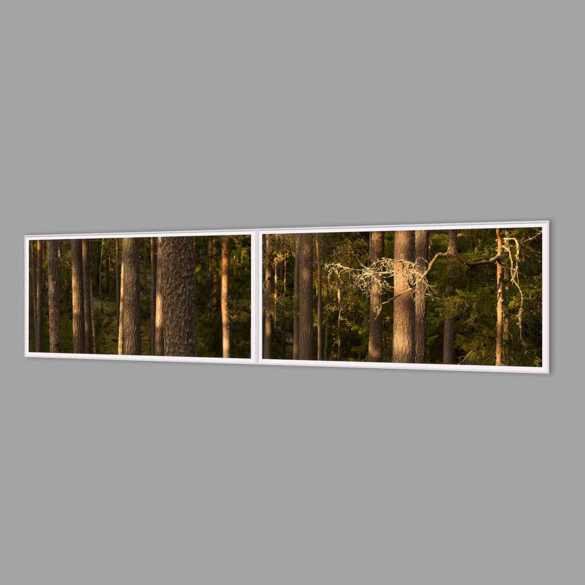LED-Wandbild Zweiteiler quer 240x60 cm – Wald
