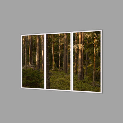 LED-Wandbild Dreiteiler hochkant 180x120 cm – Wald