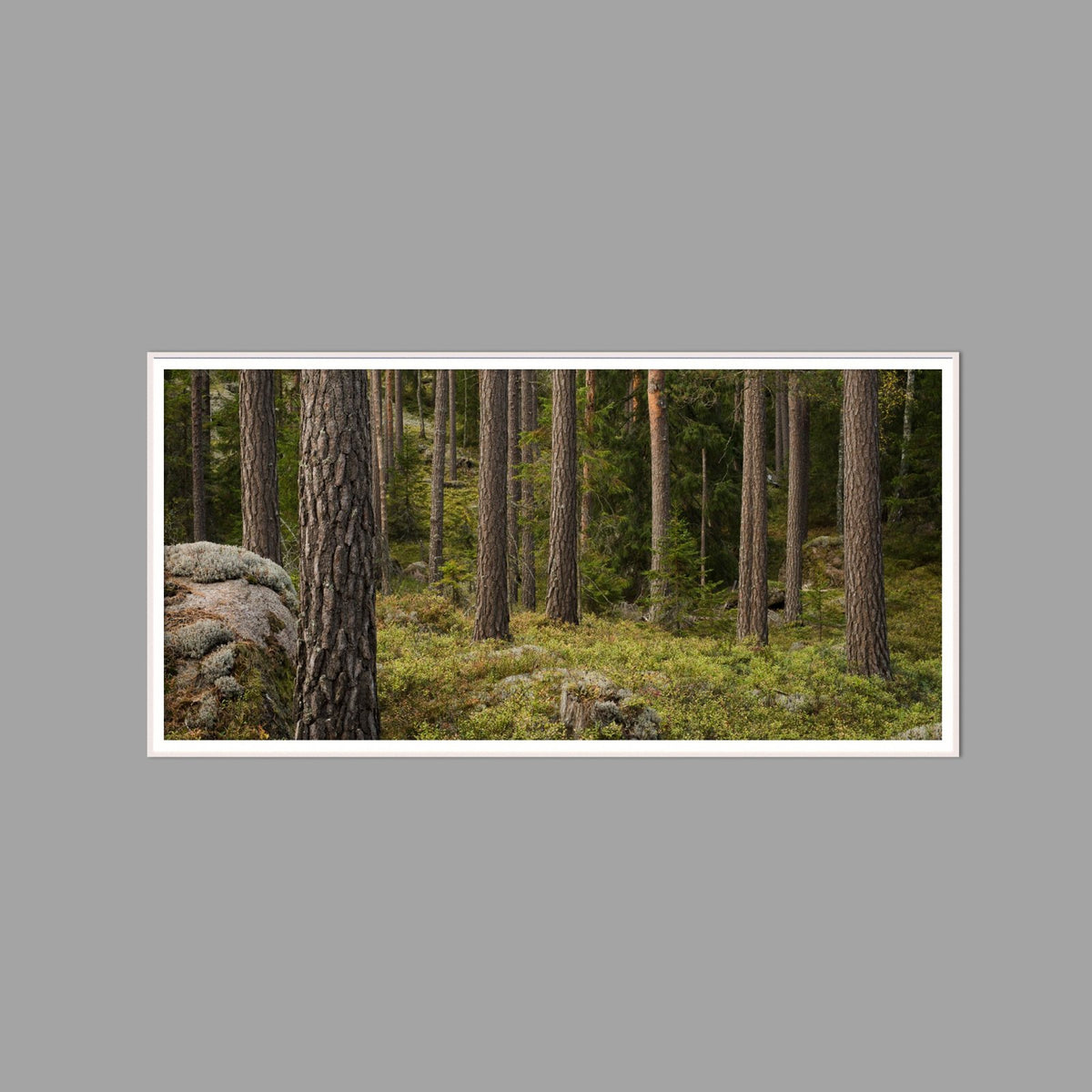 LED-Wandbild 60x120 cm quer – Wald