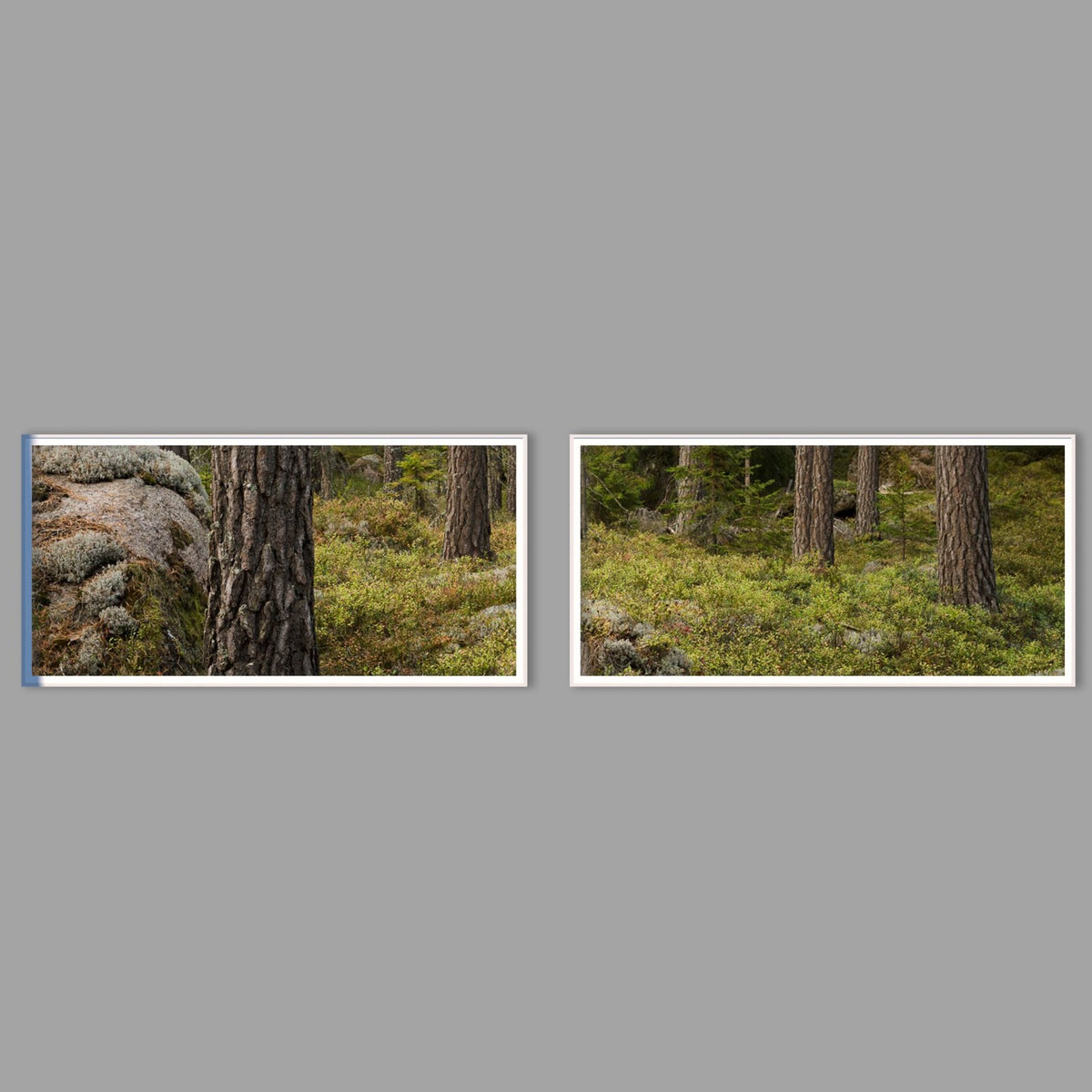 LED-Wandbild Zweiteiler quer mit Abstand – Wald