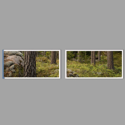LED-Wandbild Zweiteiler quer mit Abstand – Wald