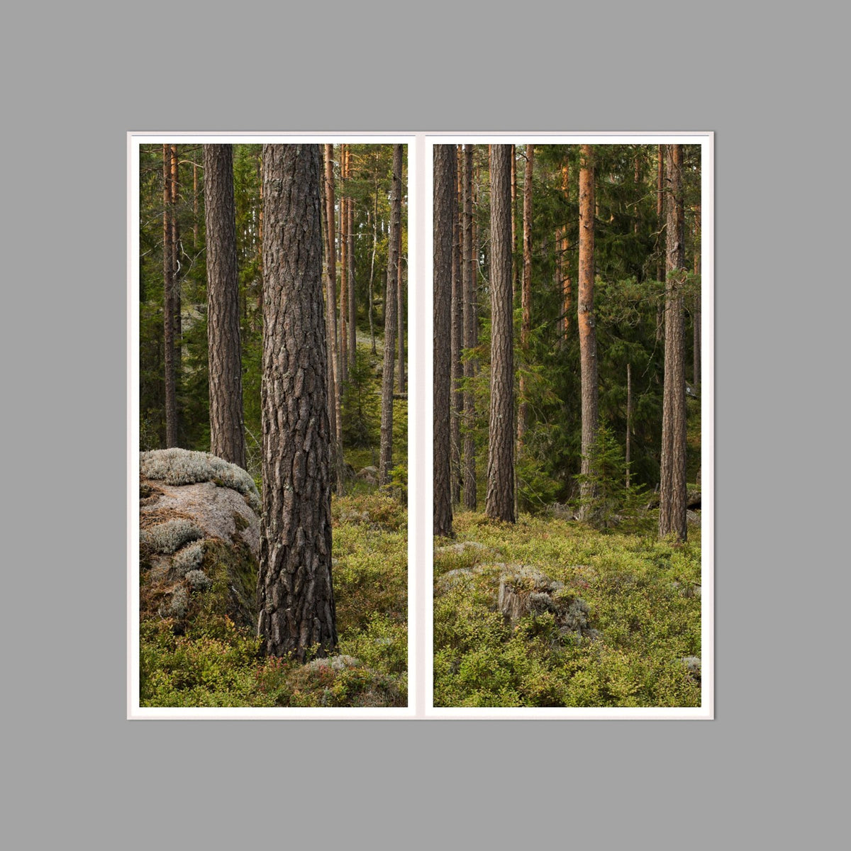 LED-Wandbild Zweiteiler hochkant 120x120 cm – Wald