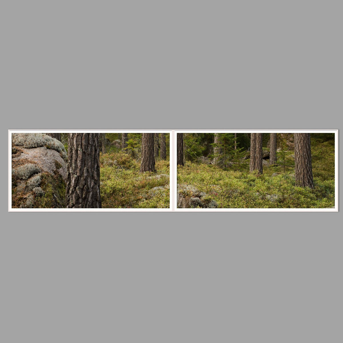 LED-Wandbild Zweiteiler quer 240x60 cm – Wald