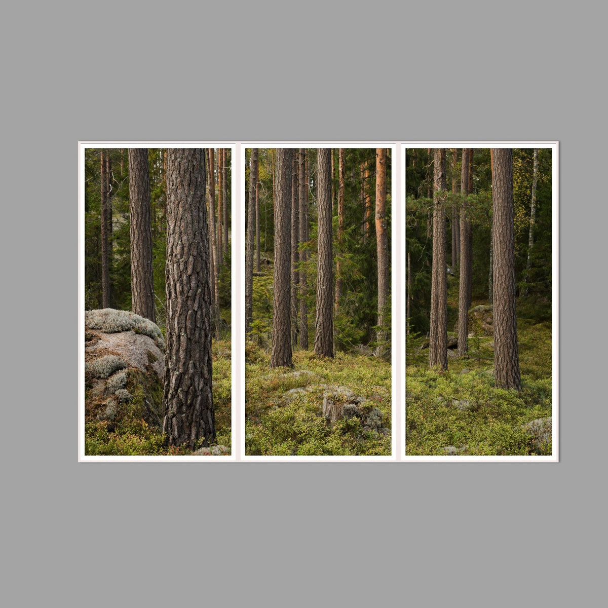 LED-Wandbild Dreiteiler hochkant 180x120 cm – Wald